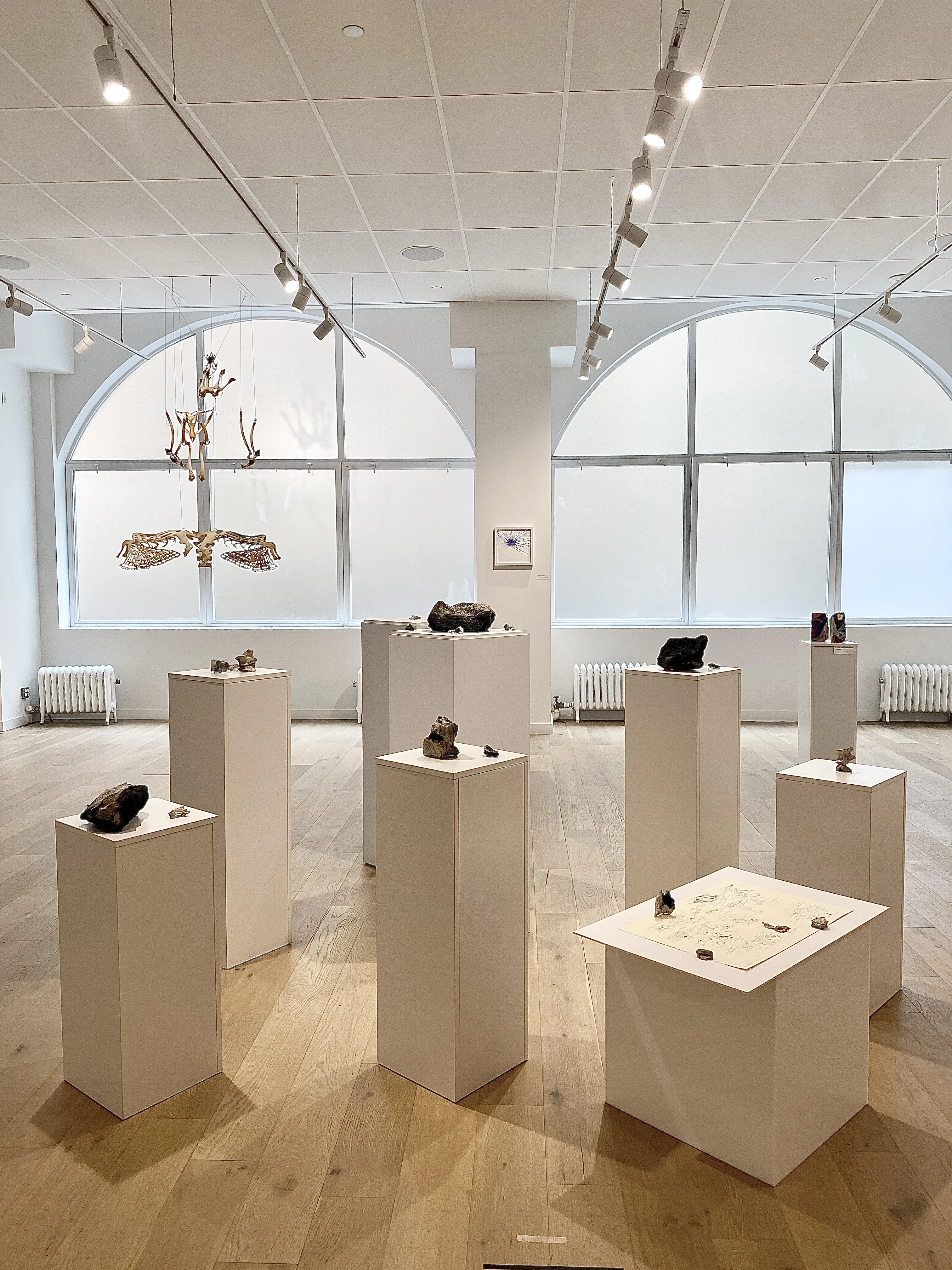 Veiled Constructions