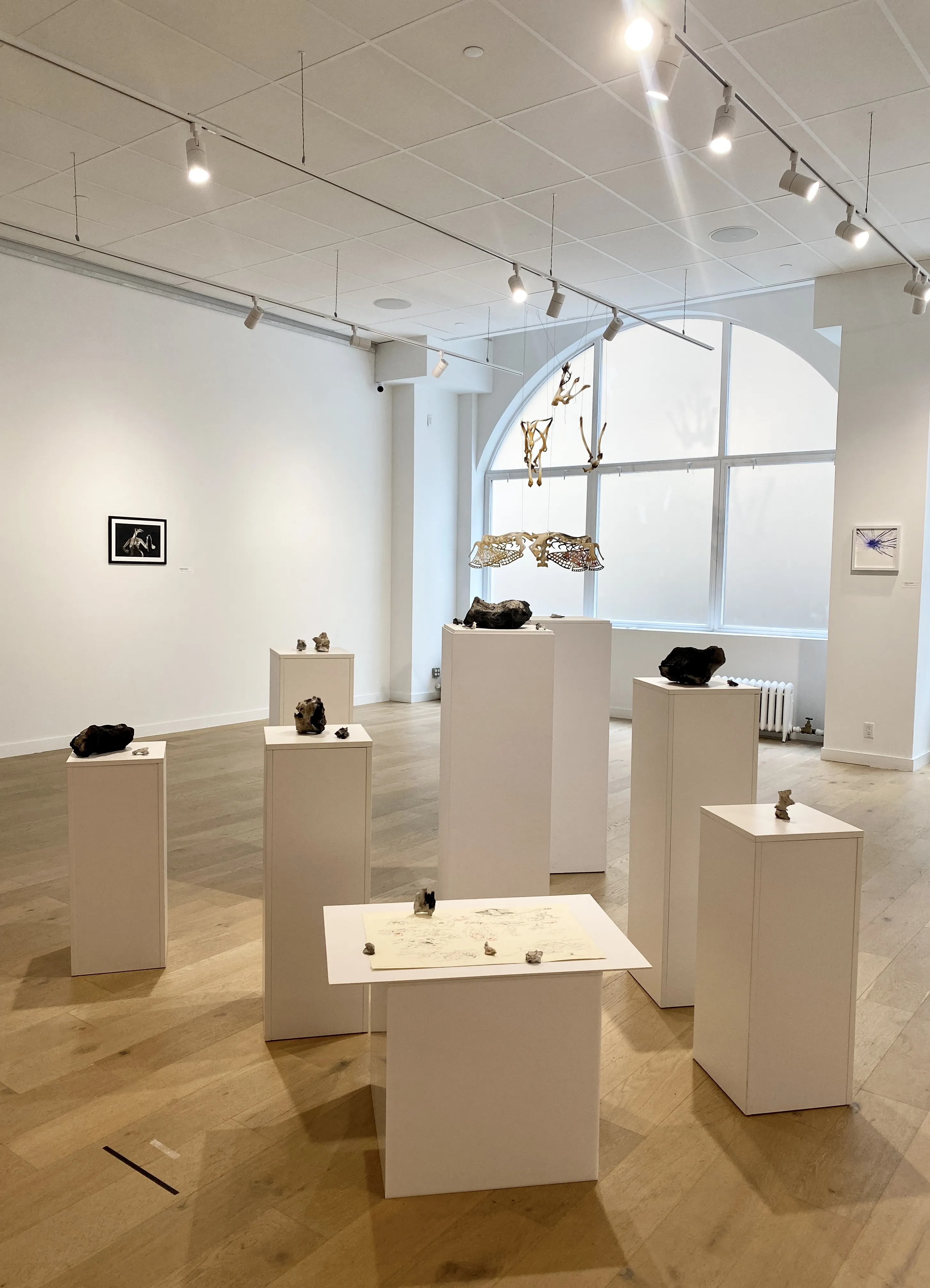 Veiled Constructions