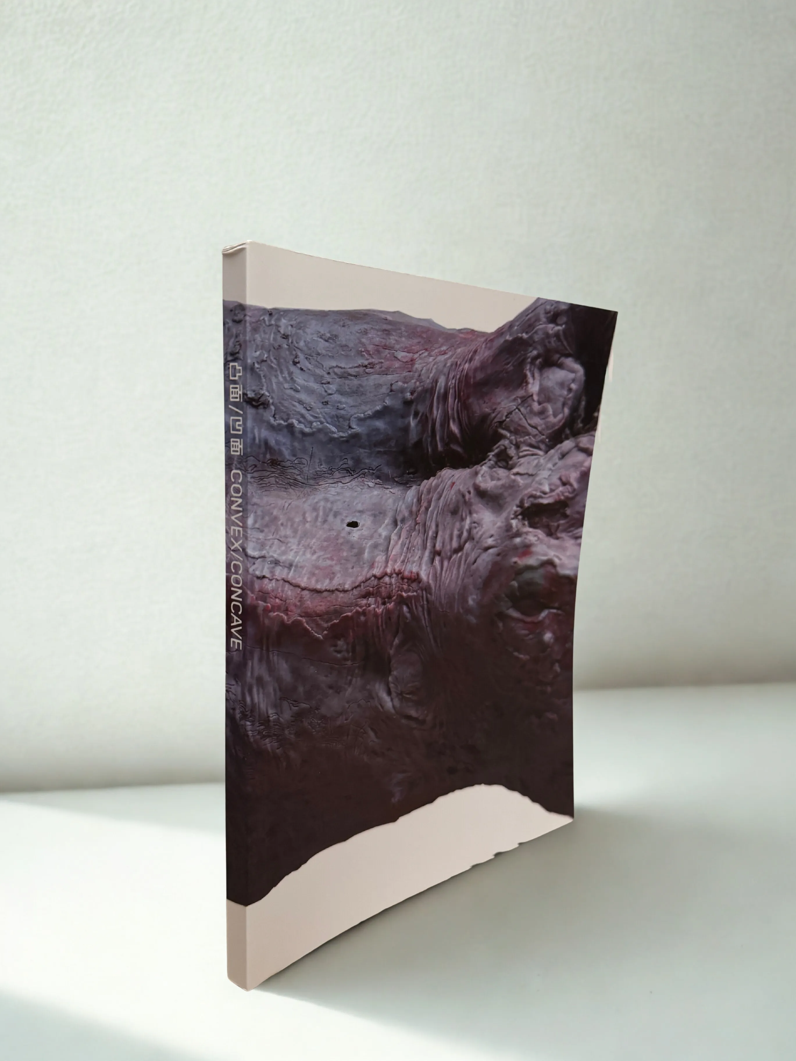 Convex/Concave: Belgian Contemporary Art catalogue